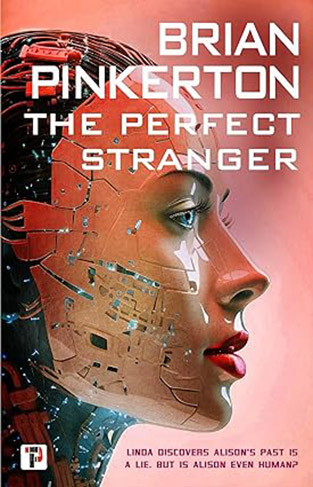 The Perfect Stranger